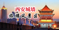 操逼看片视频免费的有哪个中国陕西-西安城墙旅游风景区