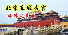 插大胸女逼逼视频中国北京-东城古宫旅游风景区